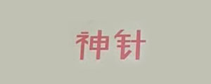 十堰神针工贸有限公司